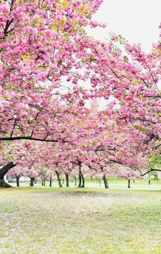 Seasons of Life and Aging-in-Place Design