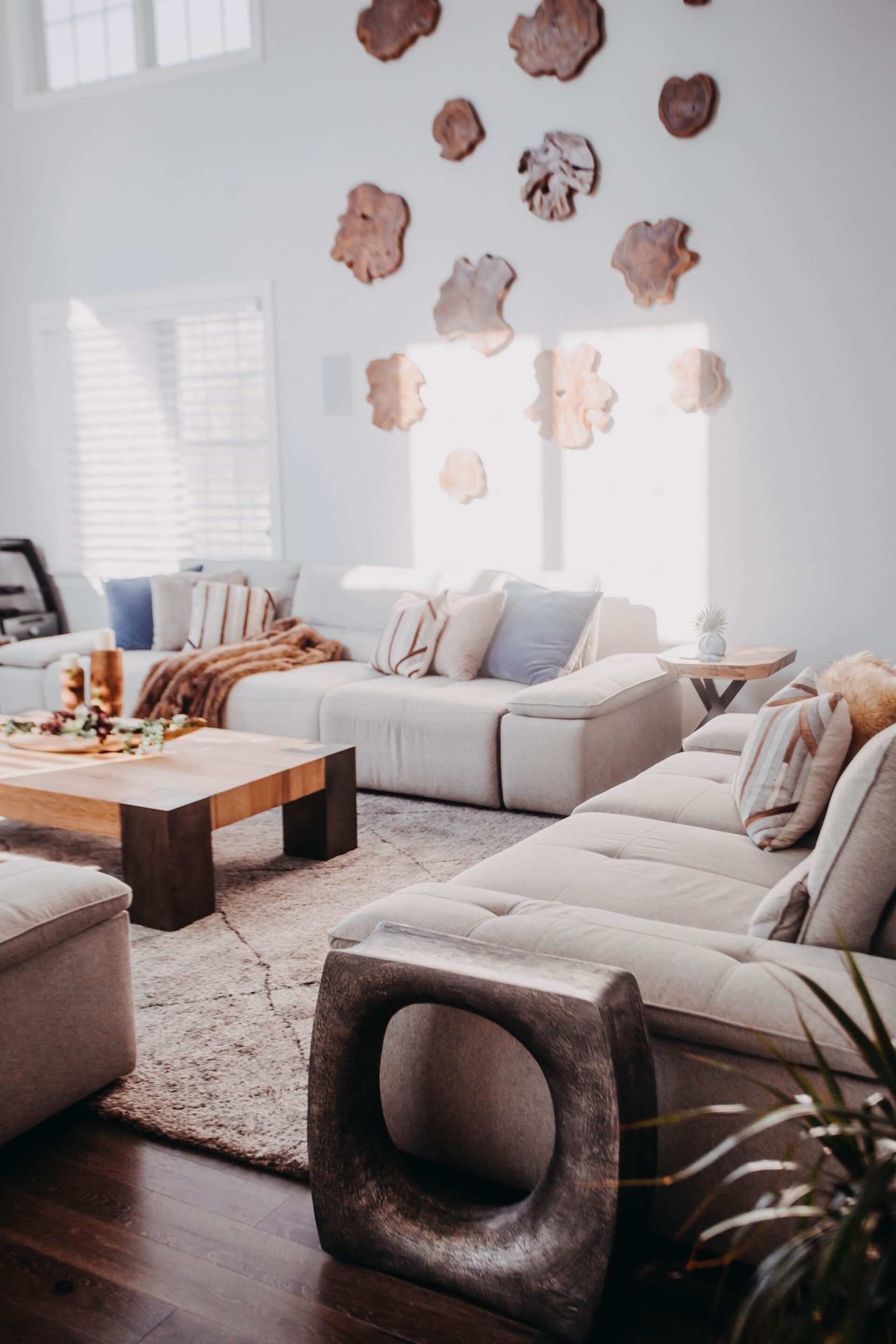 Living Room With Live Edge Wood Art