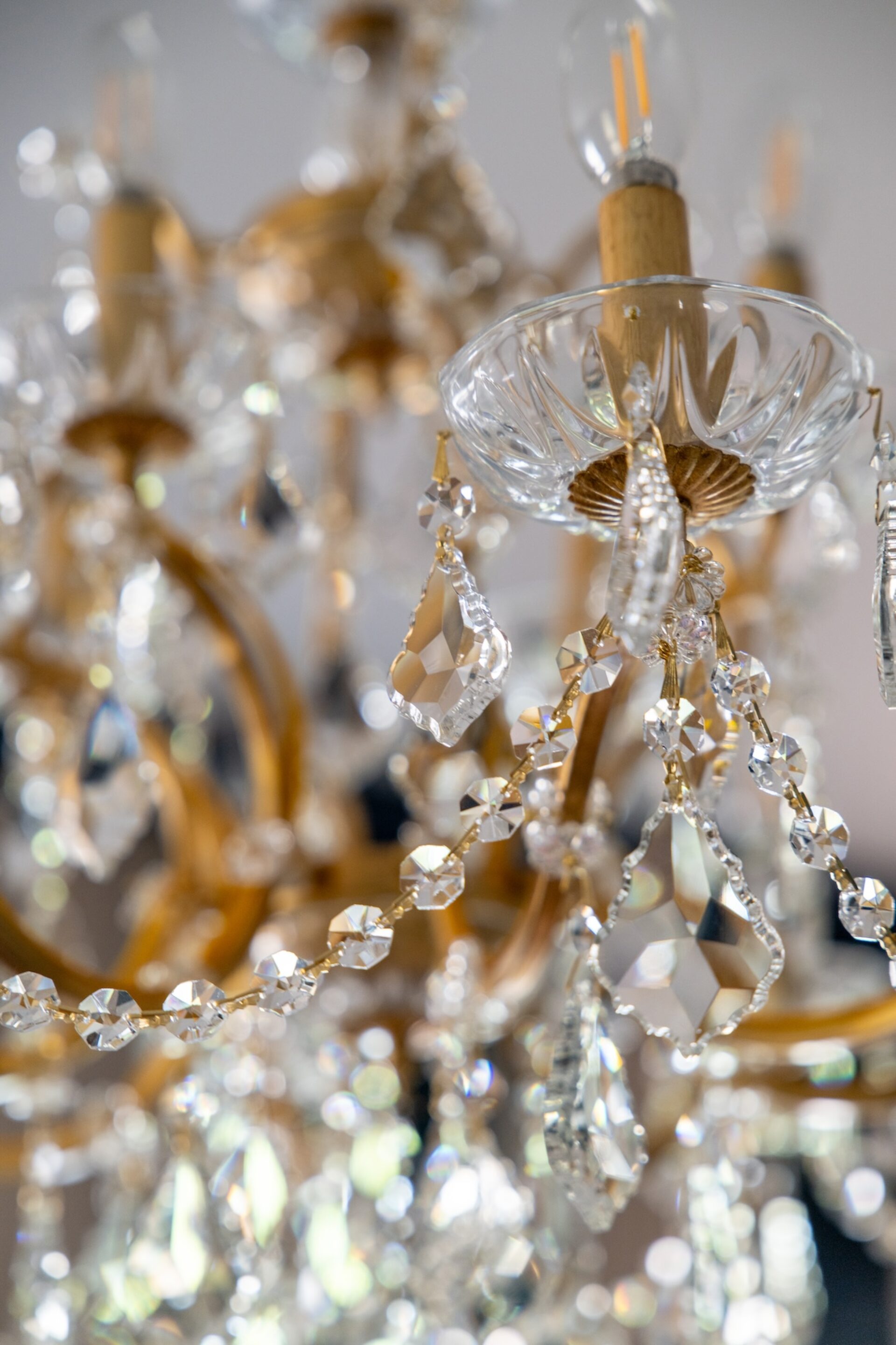 Raja Interiors Chandelier Detail